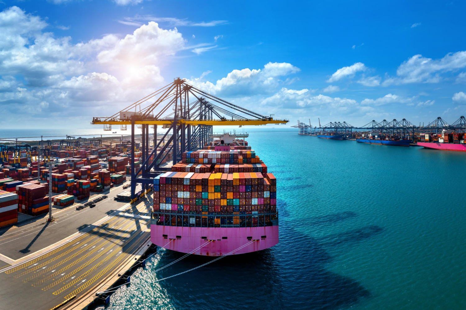 Panamá proyecta superar los $1,000 millones en exportaciones en 2025